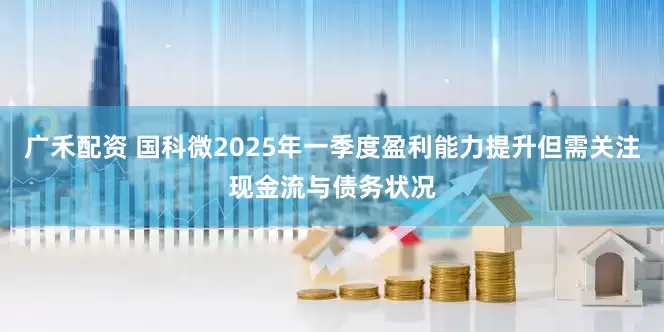 广禾配资 国科微2025年一季度盈利能力提升但需关注现金流与债务状况